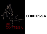 Click to download Zeiss Ikon Contessa user's manual.